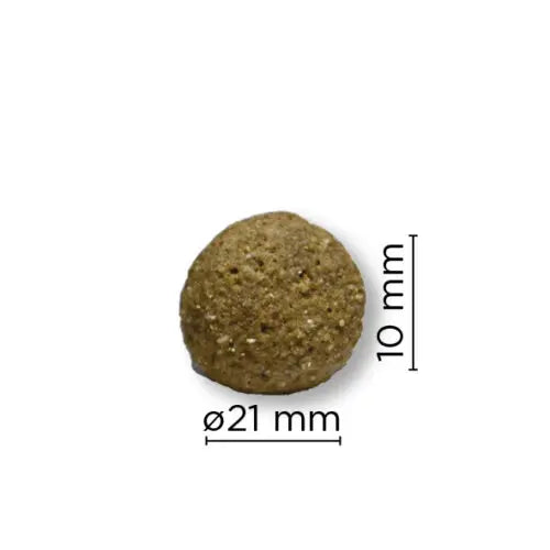 ARION Original Maintenance Large 12 kg