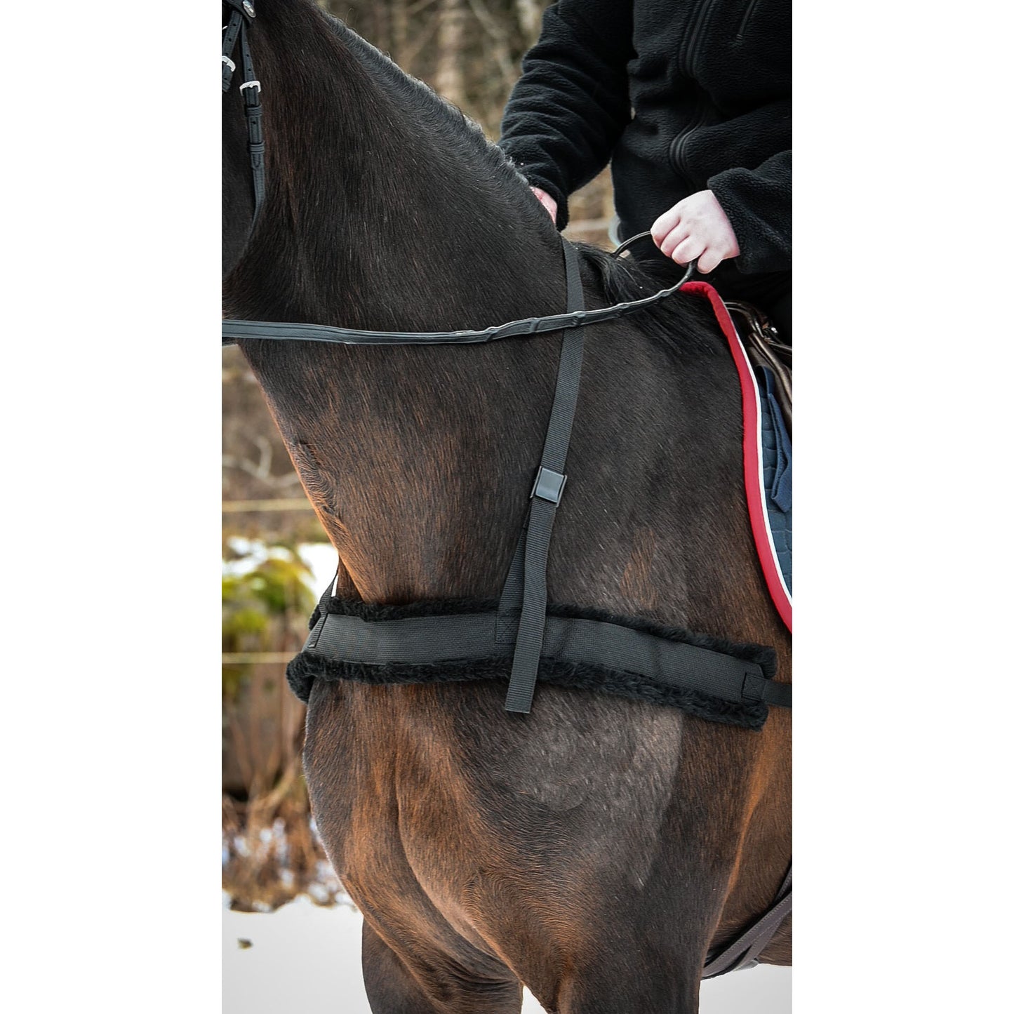 Interpreter harness - Ski/sledge harness