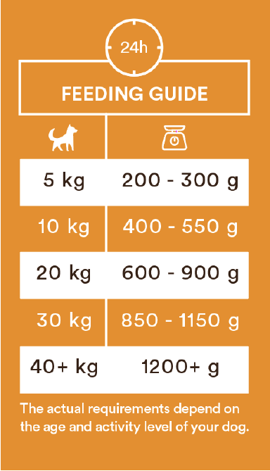 Single Protein And 400g