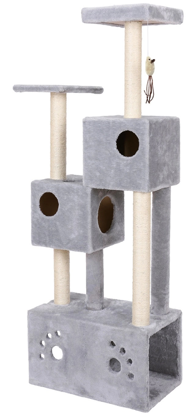 Kradsetræ Sylvester