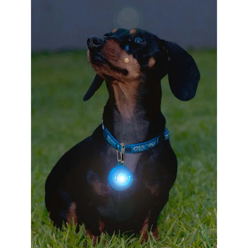 Rogz Blinki Roglite blå 3cm