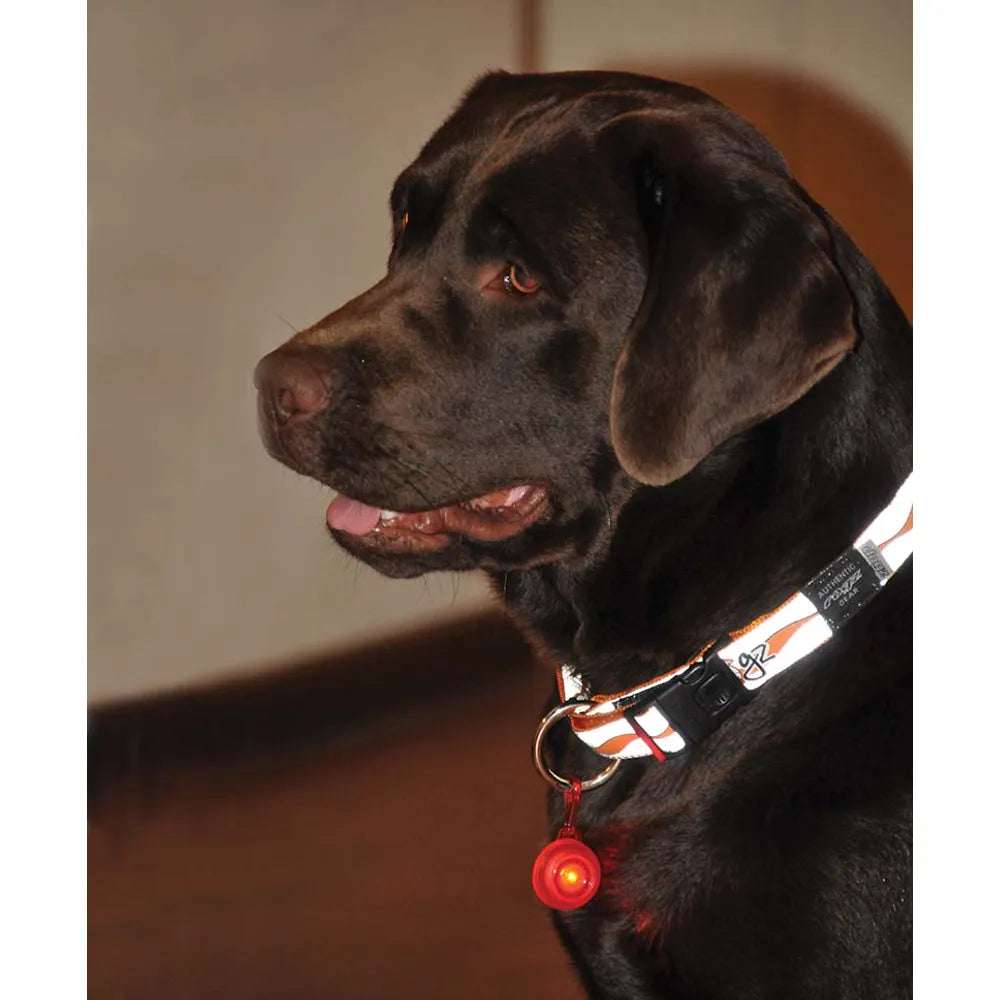 Rogz Blinki Roglite röd 3cm