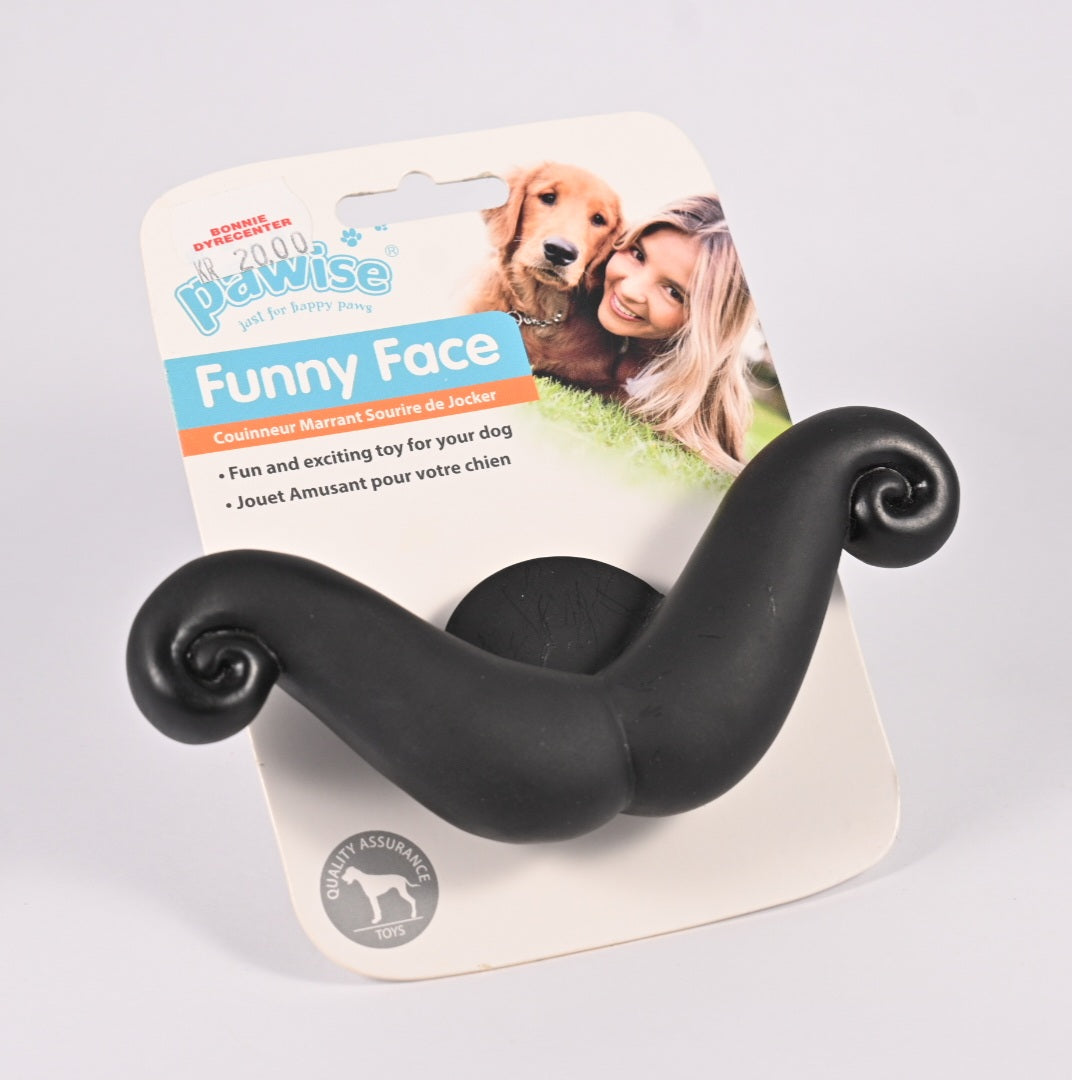 Pawise Funny Face Mustache
