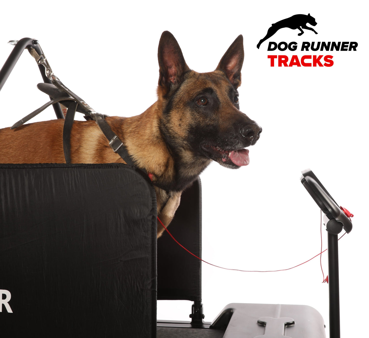 Dog Runner – Tracks