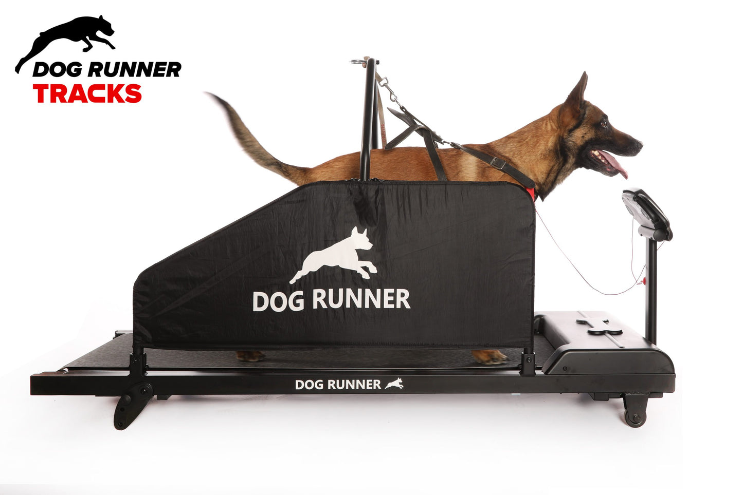Dog Runner – Tracks