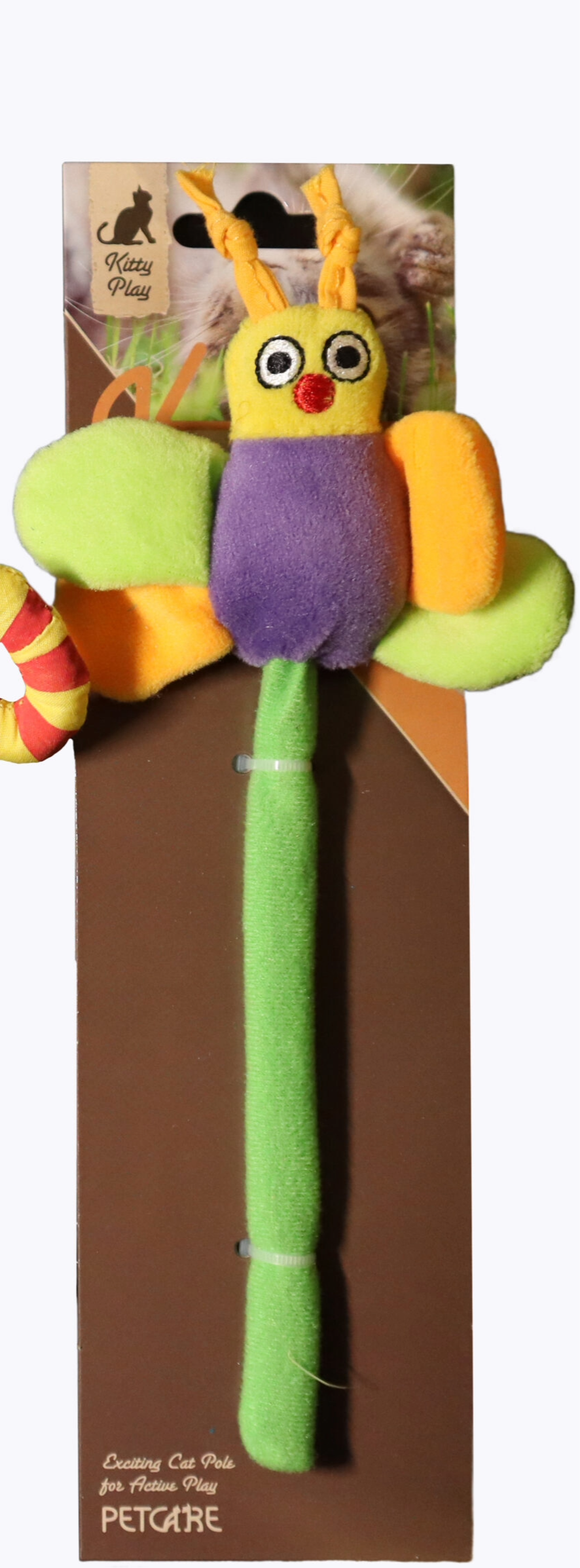 Kitty playing Butterfly