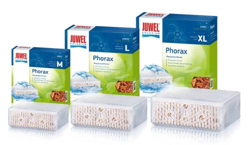 Phorax