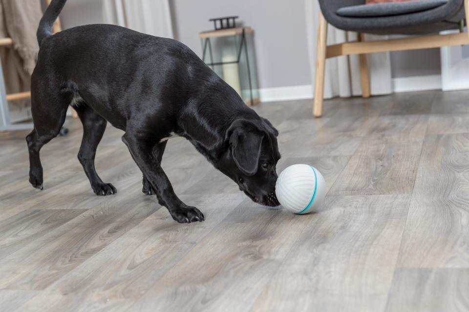 Trixie Snack ball, plastic