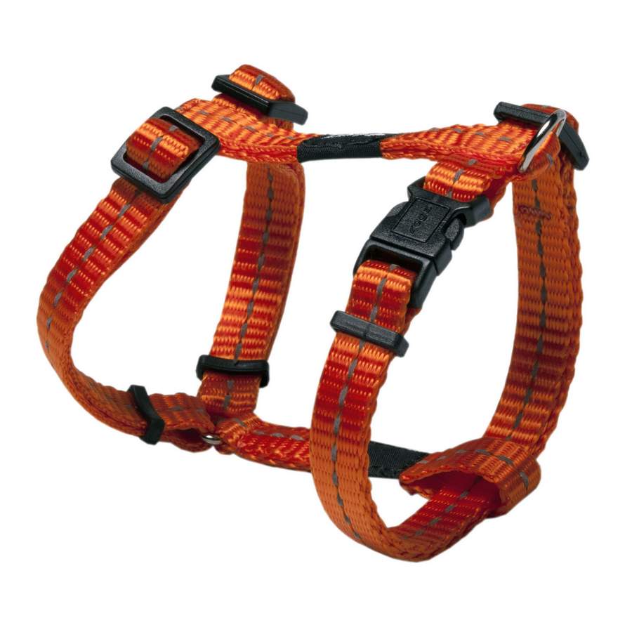 Rogz Nitelife Sele -SMÅ- flere farver