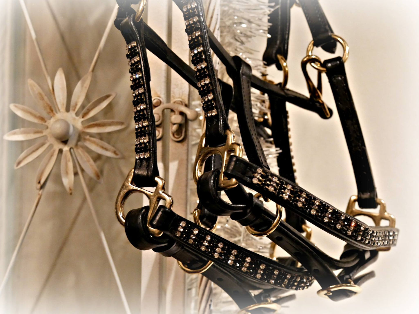 Lädergrimma med stenar