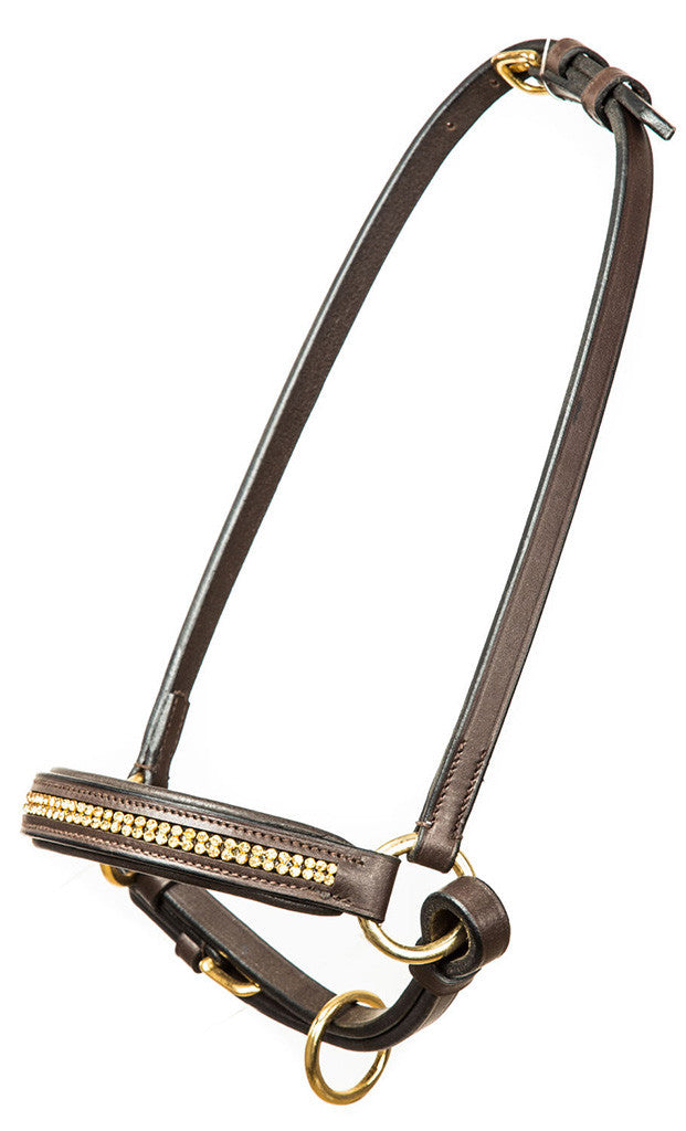 Visa träns miniatyr