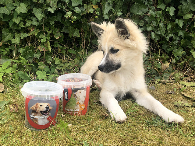 TIKKI MICRO HEARTS 500G