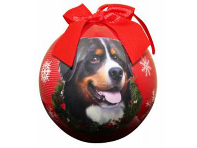 Julgranskula Berner Sennenhund