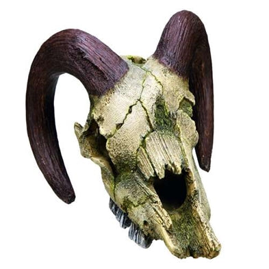 Ramskalle