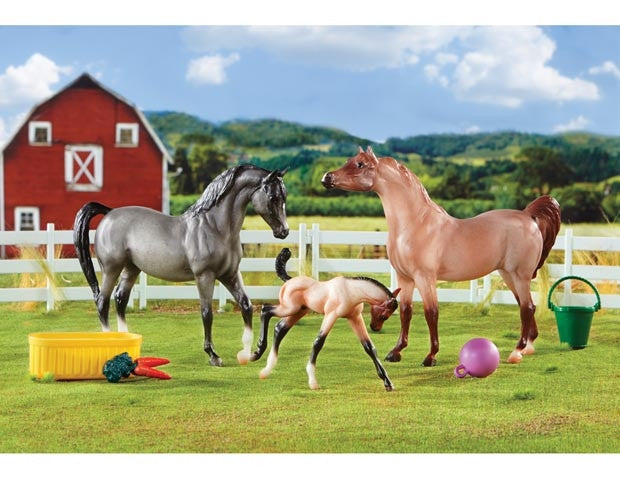 Breyer A champion is born