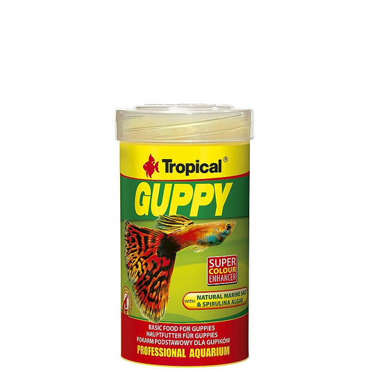 Tropisk Guppy