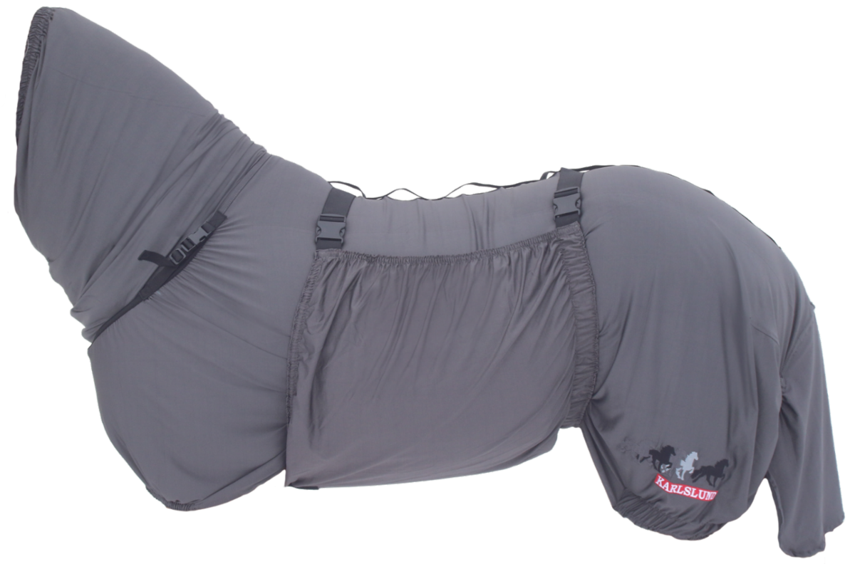 Eksemfilt (Karlslund)