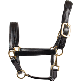 Lædergrime føl (voksen miniaure)