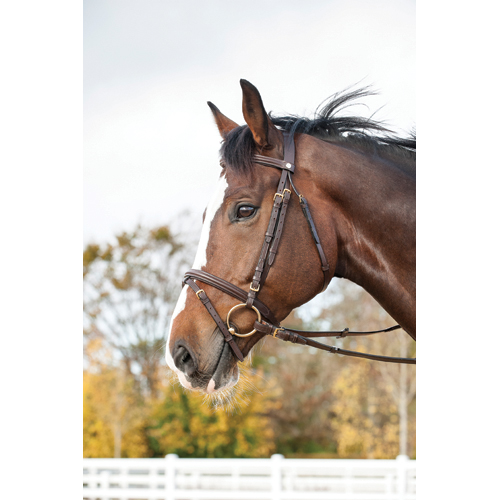 Trense shet/mini shet