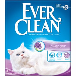 Everclean Lavendel 10L