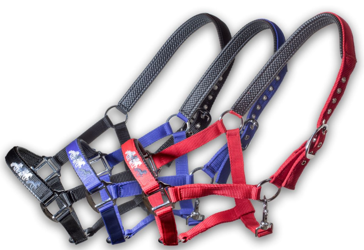 Nylongrimma (karlslund)