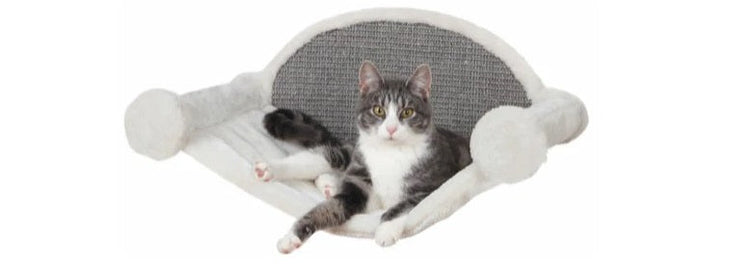 Kattefoder