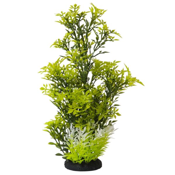 Akvariedekoration ROTALA