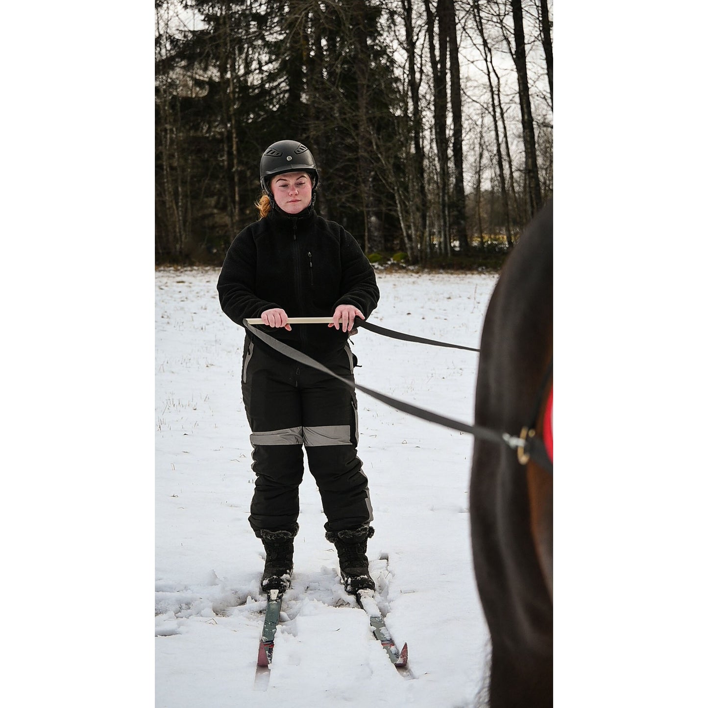 Interpreter harness - Ski/sledge harness