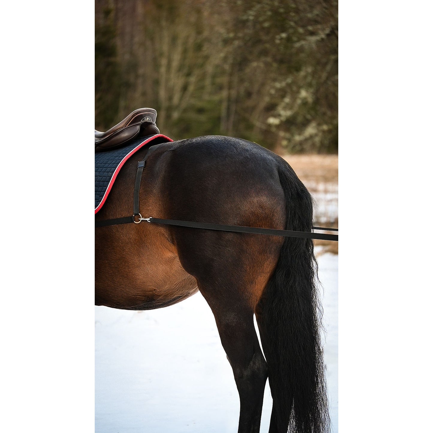 Interpreter harness - Ski/sledge harness