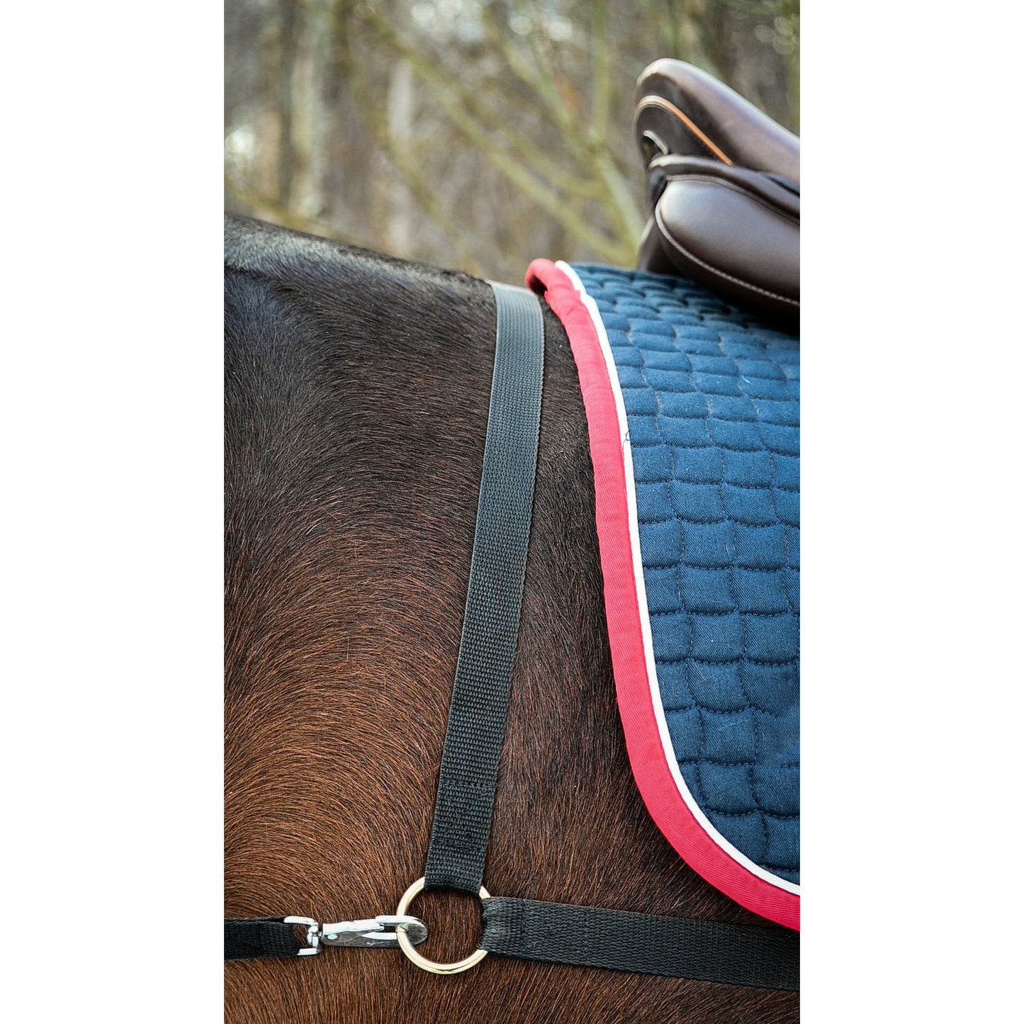 Interpreter harness - Ski/sledge harness