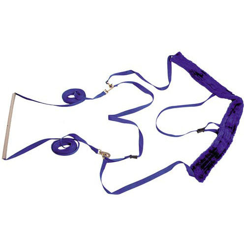 Interpreter harness - Ski/sledge harness