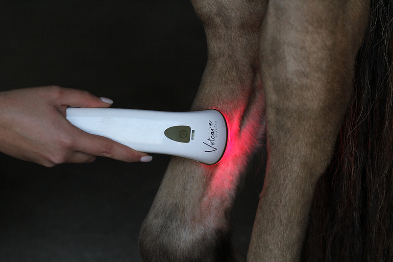 Photizo Vetcare® -Behandling for Dyr