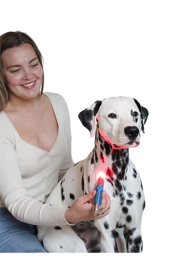 Photonic Lights Photopuncture pen-RED