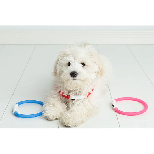 Ozami Flash LED Halsbånd Blå 70cm