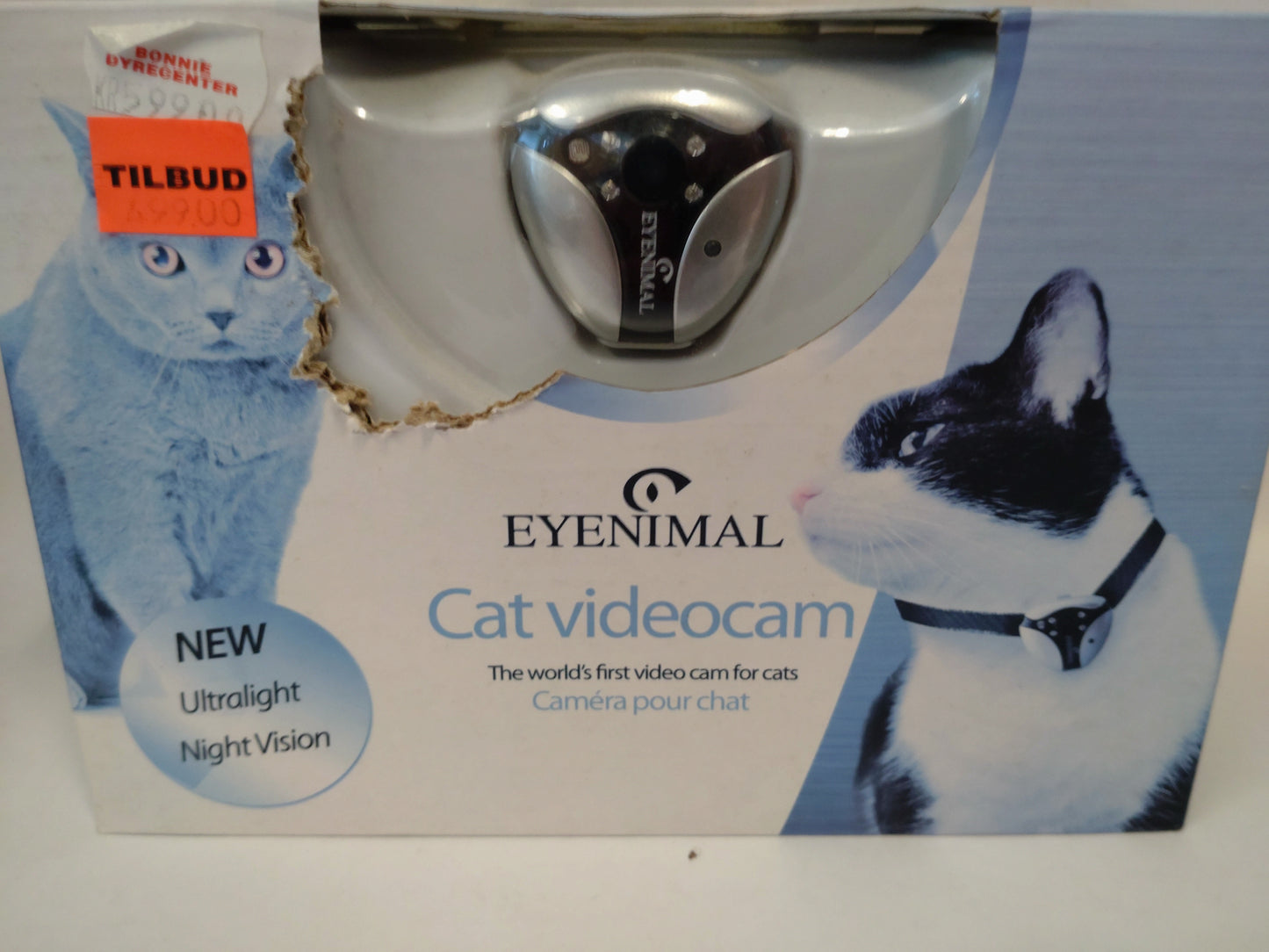 Cat videocam