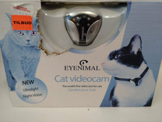 Cat videocam