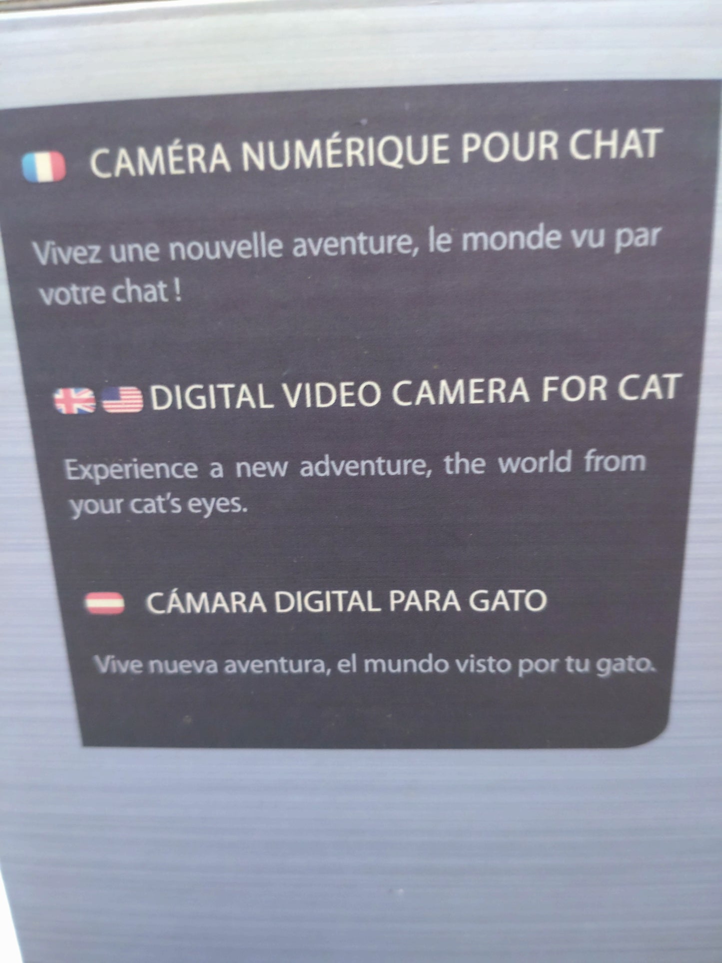 Cat videocam