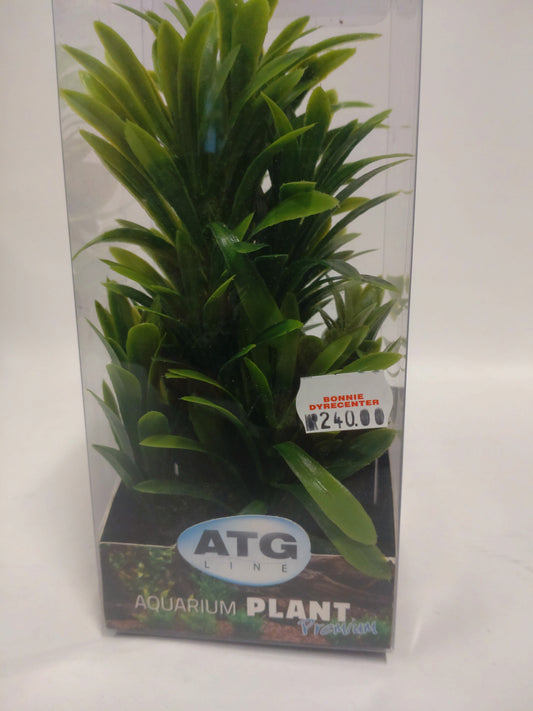 Plast plante