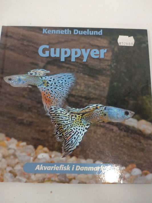 Tropisk Guppy