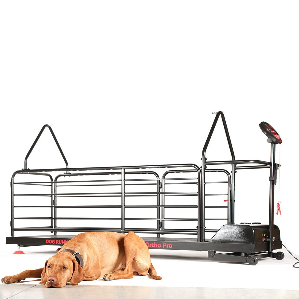 Dog Runner – Ortho Pro