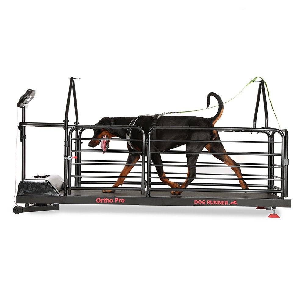 Dog Runner – Ortho Pro