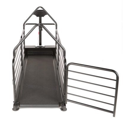 Dog Runner – Revolution pro