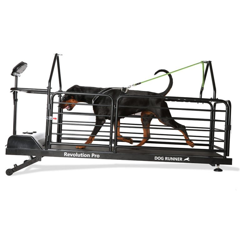 Dog Runner – Revolution pro