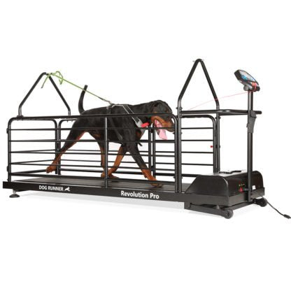 Dog Runner – Revolution pro