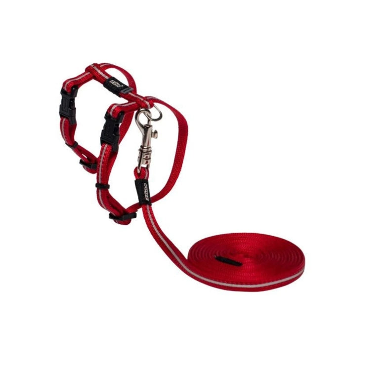 Alleycat harness&amp;line set 19.8-20cm