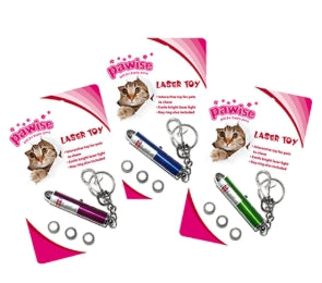 Laser pointer including battery class