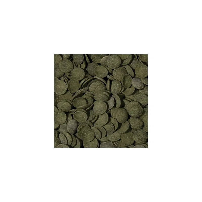 Tropical Green Algae Wafers