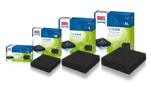 bioCarb - Carbon Sponge